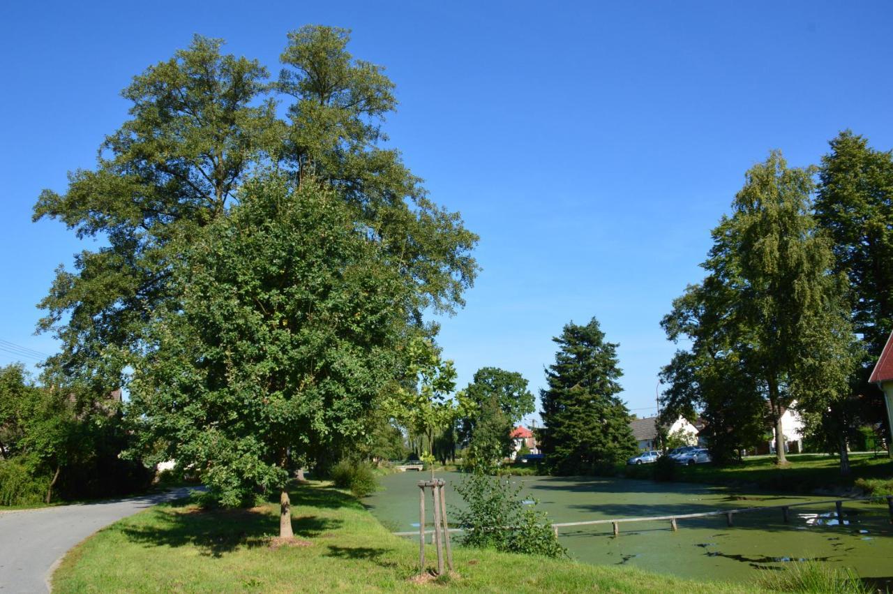 Penzion U Podkovare Trebon Exterior photo